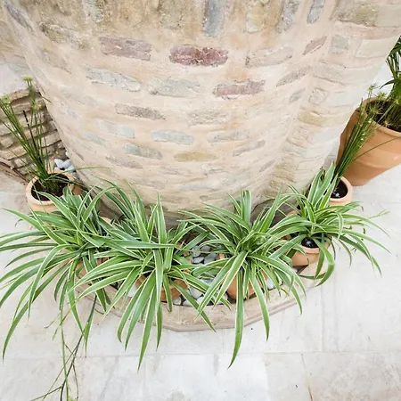 Alijar Casa Boutique קאסטילייחה דה לה קווסטה